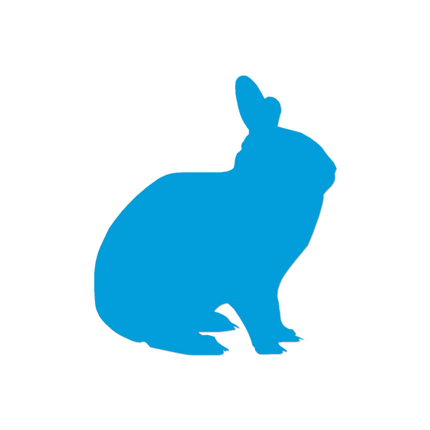 Bunny Jack Rabbit - Vinyl Decal Sticker - Multiple Colors & Sizes